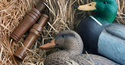 The Best Beginner Goose Call Of 2022: Best Picks & Buying Guides