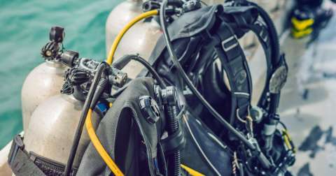 The Best Regulators For Diving To Buy You Should Know In 2022