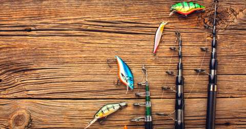 The Easy To Use Fishing Rods: Buying Guide 2022