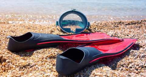 The Full Foot Scuba Fins: Greatest Buying Guide In 2022