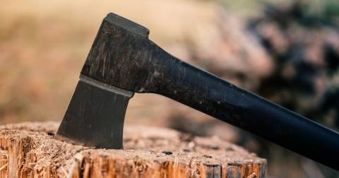 The Best Axe Ever Of 2023: Reviews And Buyers Guide