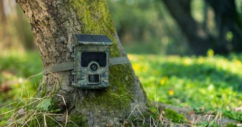 Best Solar Cellular Trail Camera - Buying Guide 2023