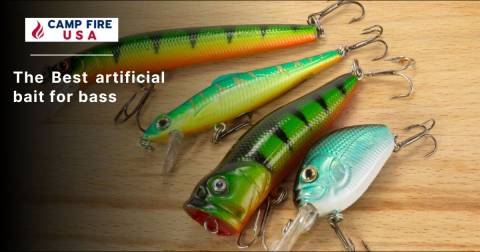 The Best Artificial Bait For Bass Of 2022: Top-rated And Buying Guide