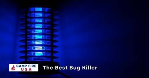 The Best Bug Killer: Top Picks 2023