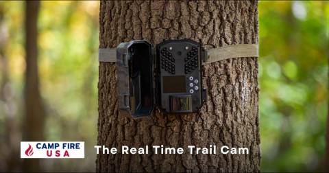 The Real Time Trail Cam - Complete Buying Guide 2023