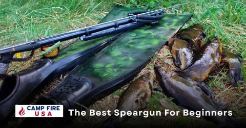 The Best Speargun For Beginners: Rankings In 2022 & Purchasing Tips