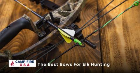 The Best Bows For Elk Hunting In 2022: Top-Rated & Hot Picks