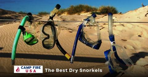 The Best Dry Snorkels: Rankings In 2022 & Purchasing Tips