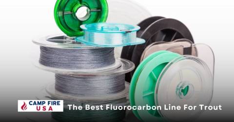 The Best Fluorocarbon Line For Trout: Best Picks Of 2022