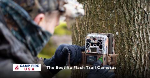 The Best No Flash Trail Cameras In 2022: Recommendations & Advice