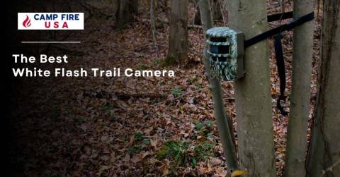 Best White Flash Trail Camera Of 2022 - Buying Guides & FAQs
