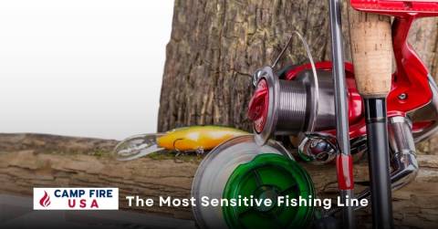 The Most Sensitive Fishing Line In The Word: Our Top Picks In 2022