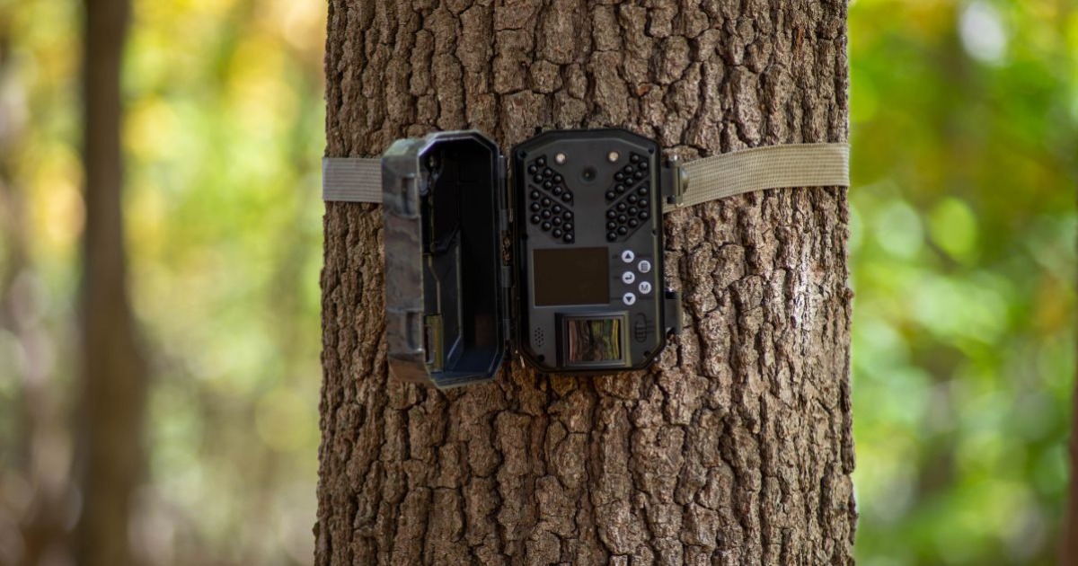 How Do Wireless Trail Cameras Work? Let’s Read to Get the Answer