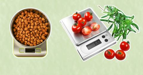 The 10 Most Accurate Food Scale, Tested And Researched