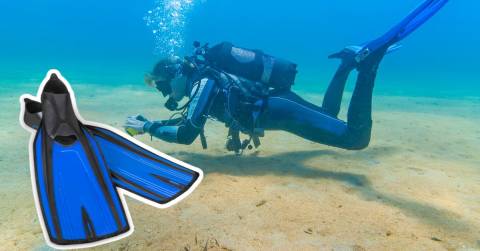 The Best Fins For Scuba In 2022