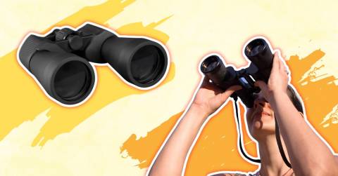 The Best 10x32 Binoculars For 2022