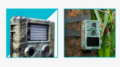 Best Solar Powered Cellular Trail Camera In 2023: Our Top Picks