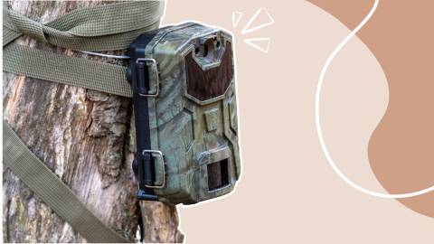 Best Trail Camera For Backyard Wildlife: Reviews In 2023 By Experts