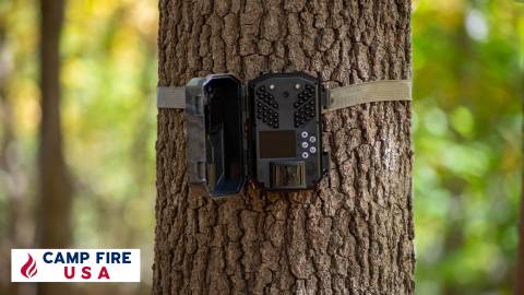 The Best Verizon Cellular Trail Camera For 2023