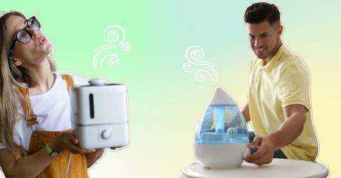 The Best Allergy Humidifier For 2023