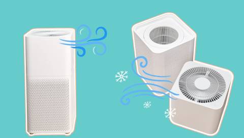 The Best Air Purifier For Apartments In 2023