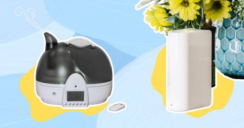 The Best Budget Humidifier For 2023