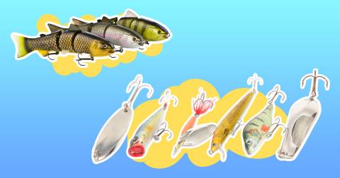 The Best Plastic Lures For Bass In 2023